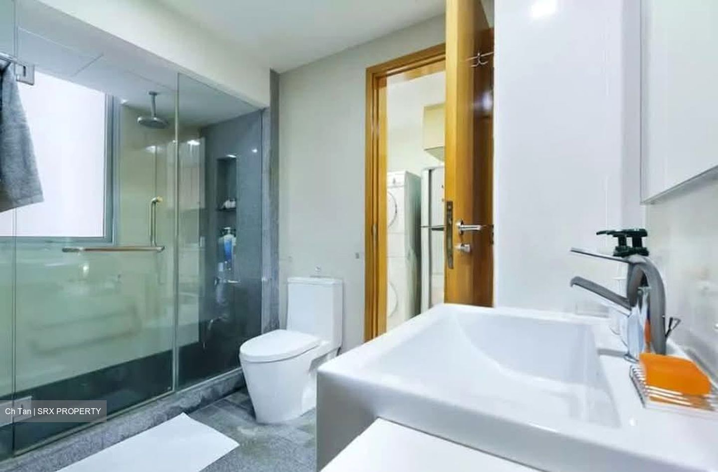 8 @ Mount Sophia (D9), Condominium #569999691